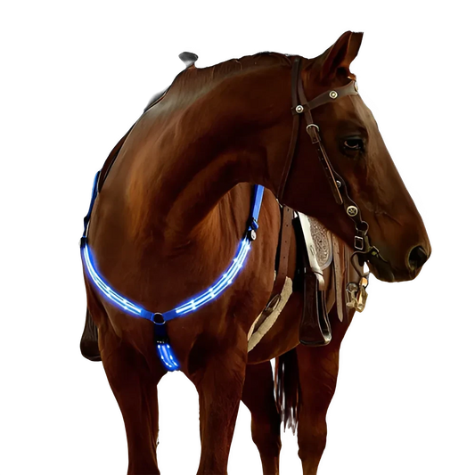 Harnais LED équestre lumineux USB pour nuit