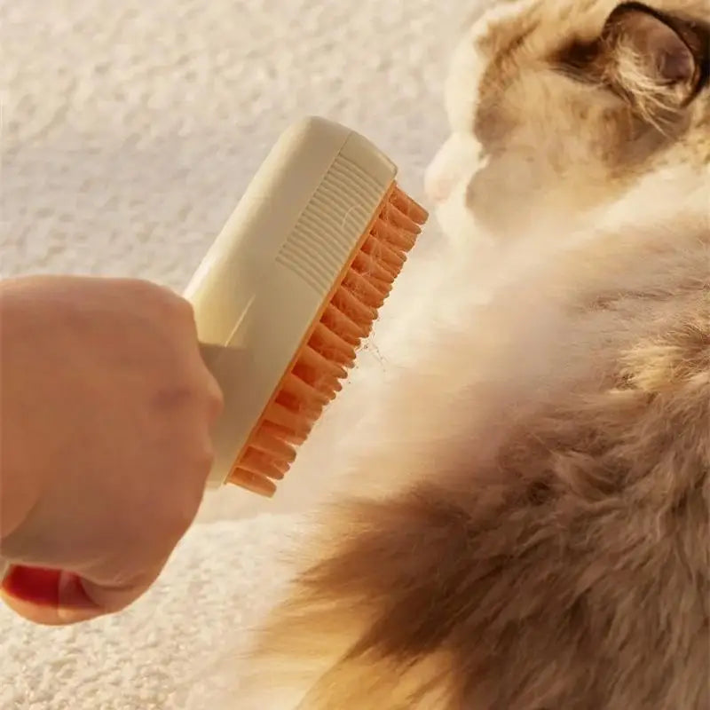 S0fd6ca28db5a4f578d963fe1d9f0cf66Q