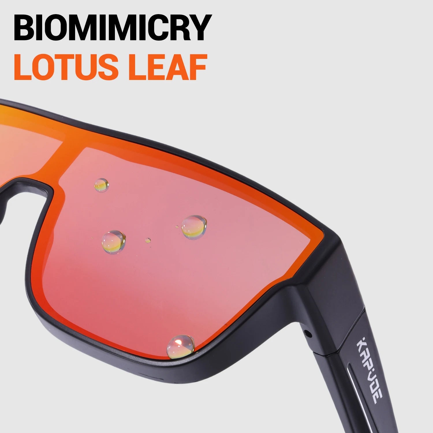 S72bf1927a41a41c7928c74cef11e64b0z