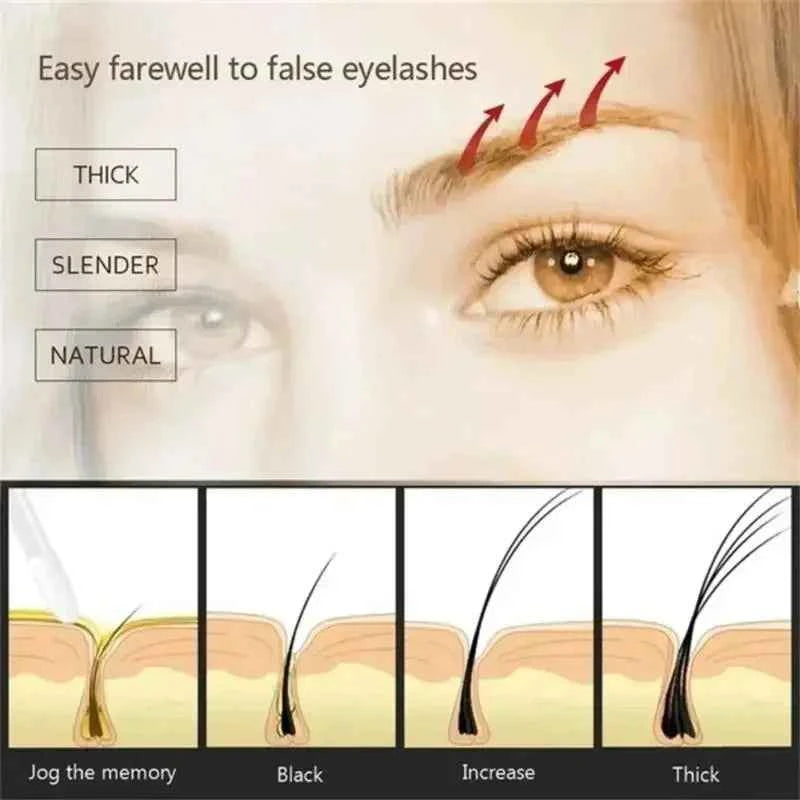 Eyebrow Growth Serum Eyelash Hair Growth Anti Hairs Loss Product Prevent Baldness Fuller Thicker Lengthening Eyebrow Makeup